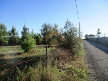 Terreno de 22000 m2 à venda Vendas Novas, Évora