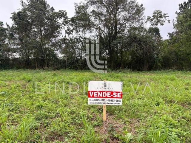 Terreno de 220 m2 no Parque Residencial Ecoville 2 Na principal rua de acesso