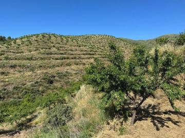 Terreno de 223615 m2 à venda Mêda, Portugal