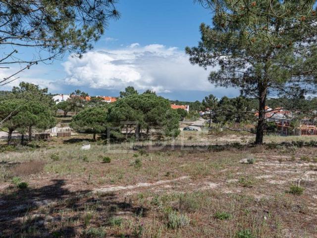 Terreno de 225 m2 à venda Comporta, Setúbal