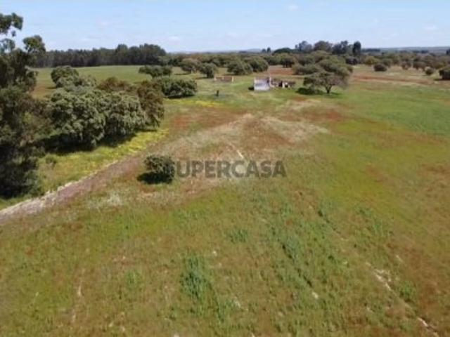 TERRENO DE 22,45 HA COM RUÍNA DE 240 M² PARA RECUPERAÇÃO EM FERREIRA DO ALENTEJO