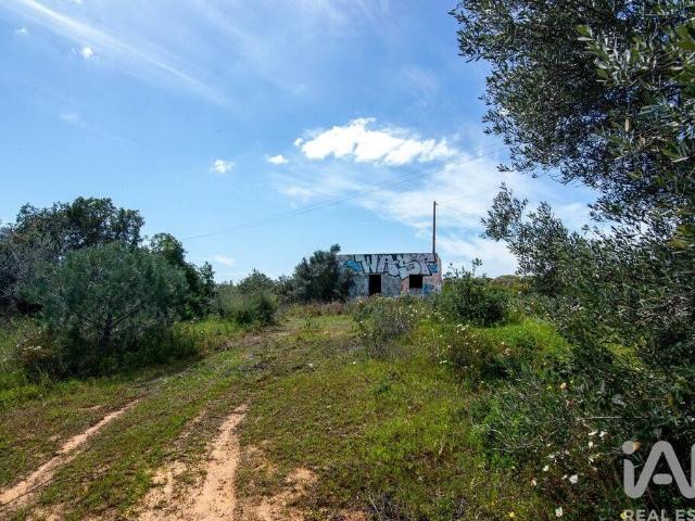 Terreno de 18874 m2 à venda Almancil, Faro