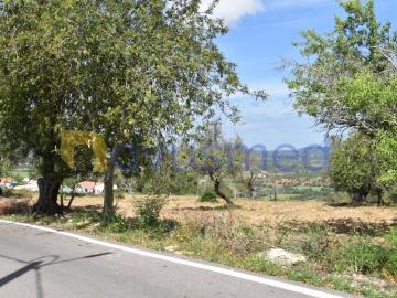 Terreno de 2394 m2 à venda Almeijoafras, Albufeira, Faro