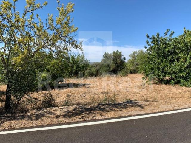Terreno de 2394 m2 Almeijoafras, Albufeira, Faro