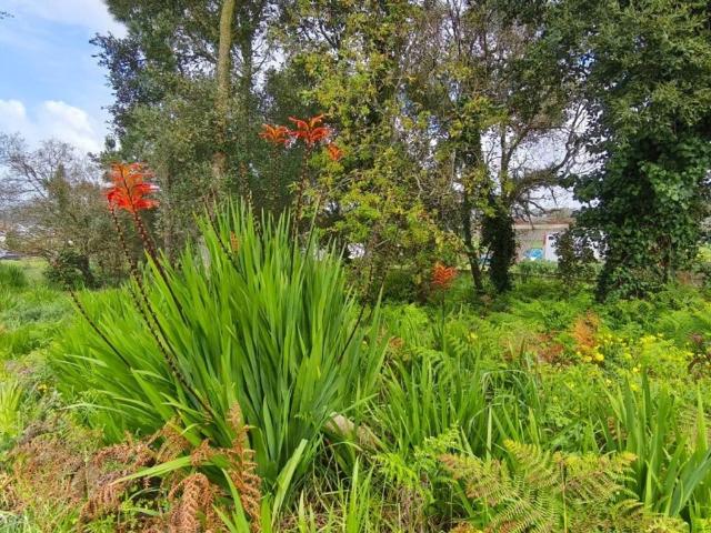 Terreno de 2398 m2 à venda Mafra, Lisboa