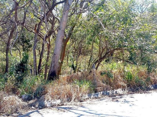 Terreno de 2,000 metros cuadrados en venta en Lomas de Mactumatz?
