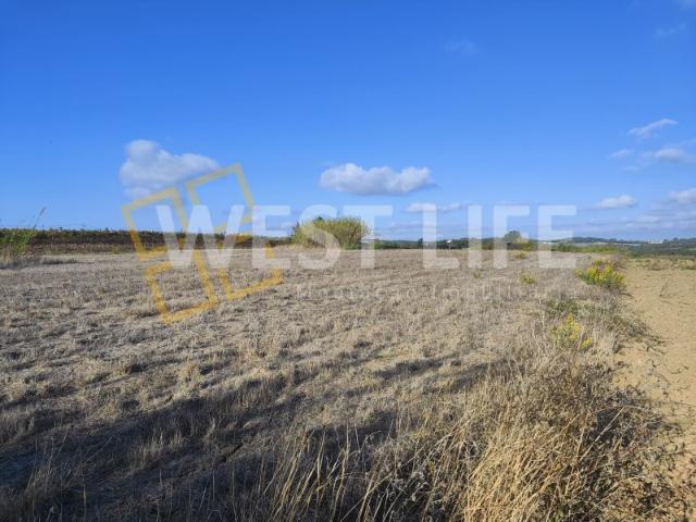 Terreno de 2.280 m² com Projeto Aprovado para Moradia em Silveira | EXCLUSIVO WEST LIFE