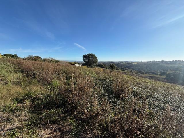Terreno de 2.480m2 para construção Usseira, Óbidos