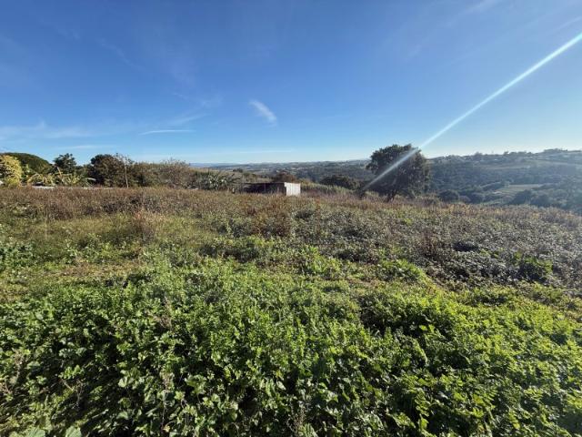 Terreno de 2.480m2 para construção Usseira, Óbidos