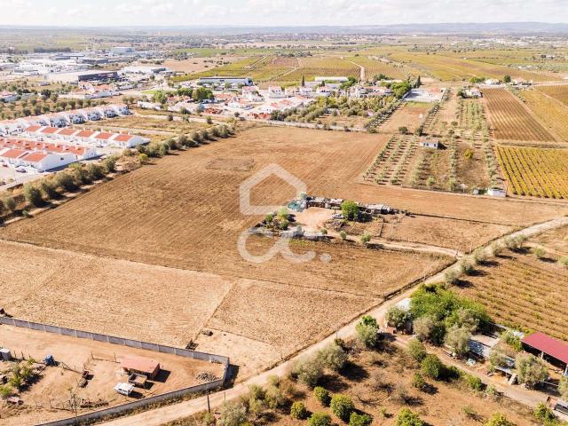 Terreno de 24000 m2 para construção | Reguengos de Monsaraz