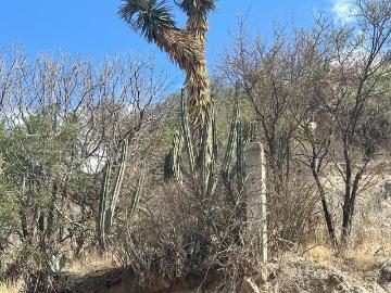 Terreno de 2,500 m2 en Presa de Sardeneta camino a Ojo de Agua