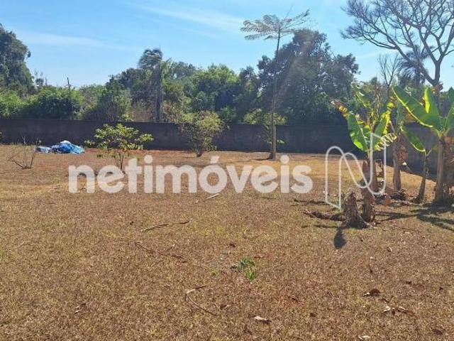 Terreno de 2.500m² no Parkway SMPW 23. Construa sua casa dos sonhos!