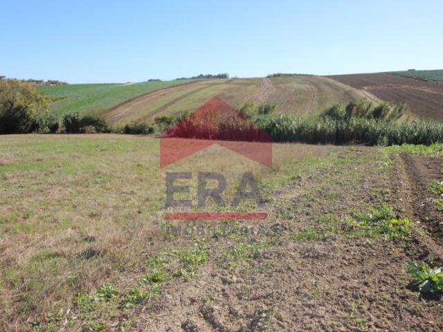 Terreno de 2.560m2 em Geraldes Peniche
