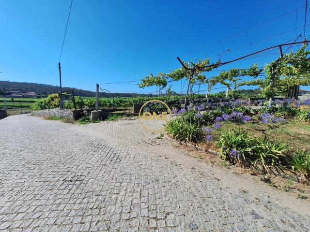 Terreno de 2,5 hectares com produção agrícola