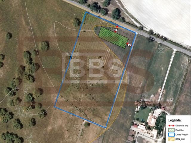 Terreno de 2,5 Hectares com Projeto Aprovado para Canábis Medicinal | Benavente