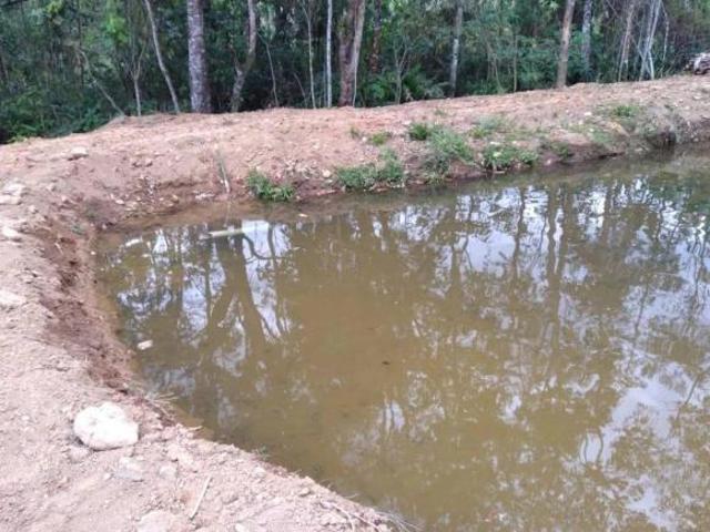 Terreno de 2 alqueires á venda em Dom Viçoso, MG
