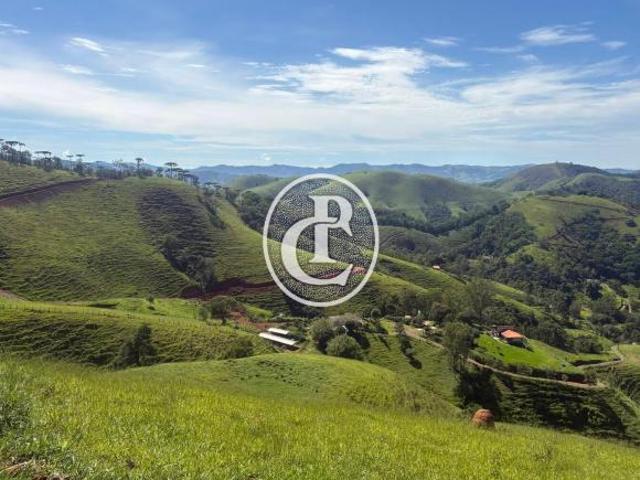 Terreno de 2 alqueires em São Francisco Xavier