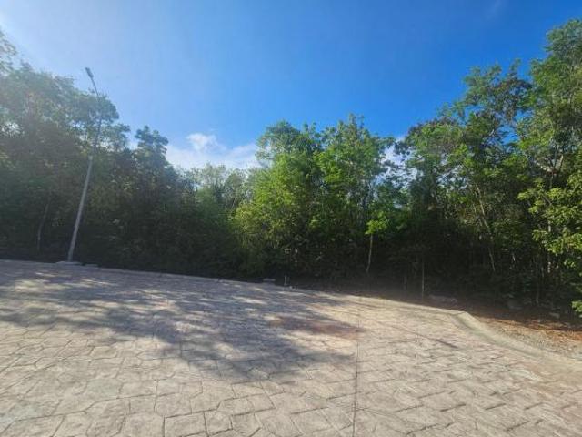 TERRENO DE 350M2 EN CIUDAD MAYAKOBA DE OPORTUNIDAD