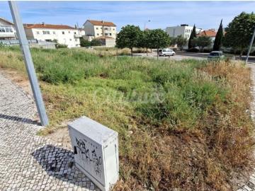 Terreno de 3580 m2 à venda Cascais, Lisboa
