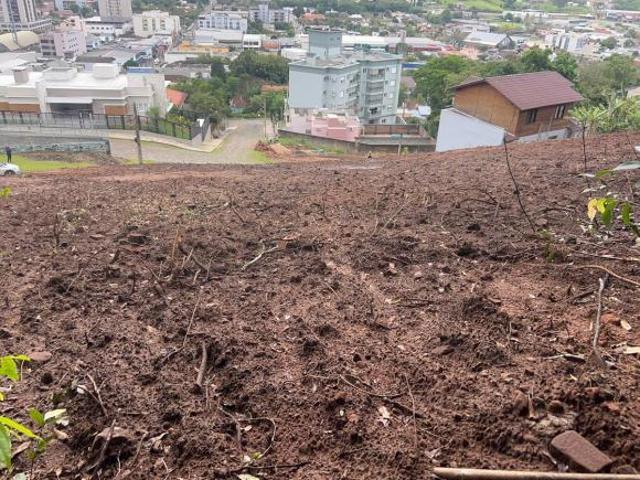 Terreno de 358m² com vista para área verde