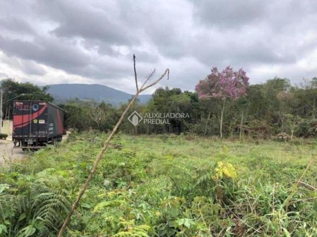 Terreno de 36155m² à venda Estrada Nhonho de Lima s/n Suzano/SP
