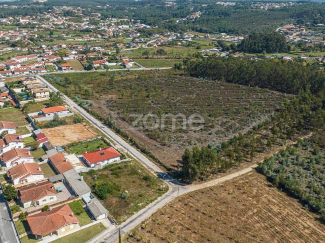 Terreno de 36892m² com PIP aprovado em Oliveira de Azeméis