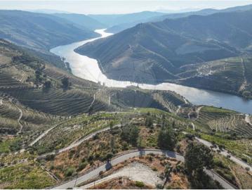 Terreno de 3700 m2 à venda Tabuaço, Portugal