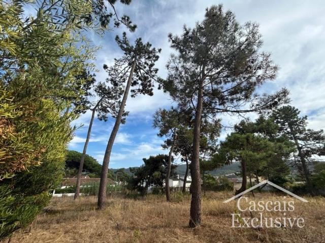 Terreno de 387 m2 à venda Mucifal, Sintra, Lisboa