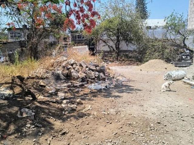 Terreno de 384 m² en venta en Col.Cuauhtémoc, Cuautla