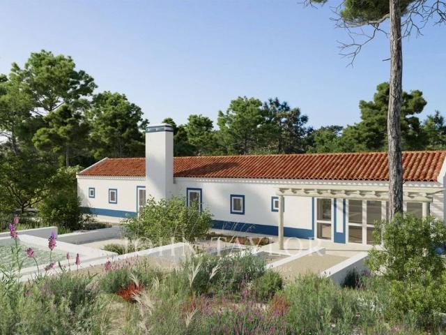 Terreno de 3909 m2 Carvalhal, Setúbal