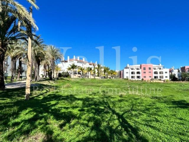 Terreno de 3930 m2 Tavira, Faro