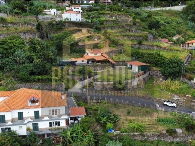 Terreno de 3000 m2 Centro, São Vicente, Madeira