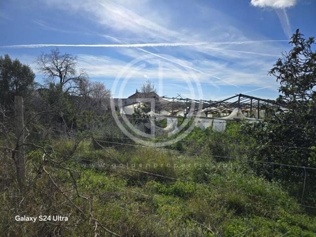 Terreno de 300 m2 à venda Faro
