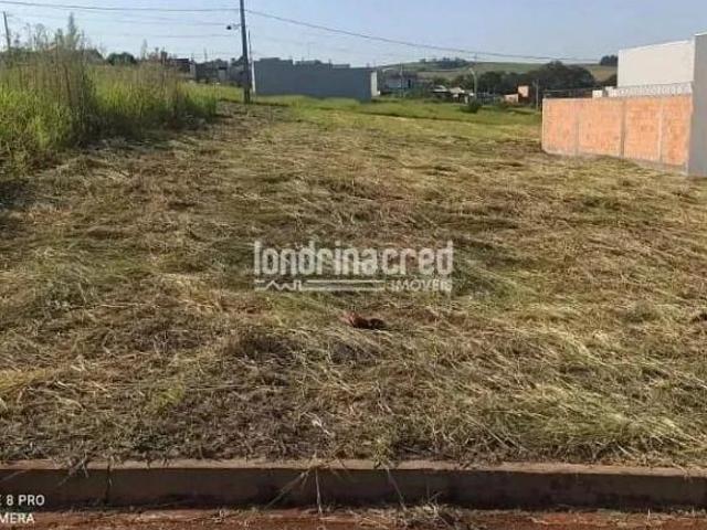 Terreno de 300m² no Recanto Parque Guará Ibiporã/PR, plano, com calçada, rua asfaltada e ótima loca