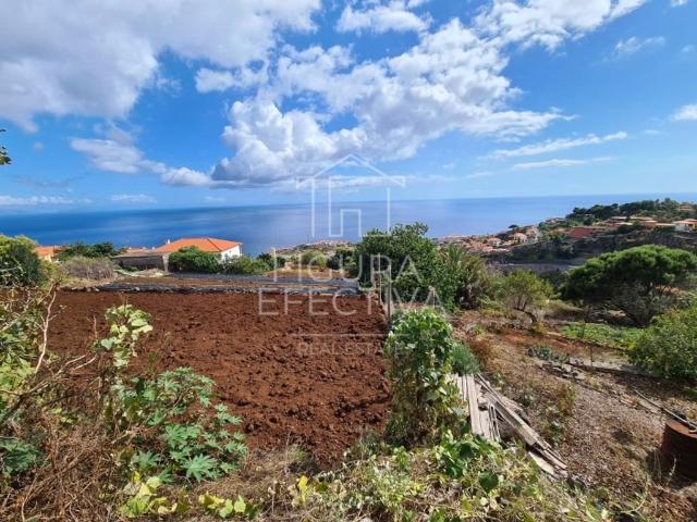 Terreno de 308 m2 Barreiros, Santa Cruz, Madeira