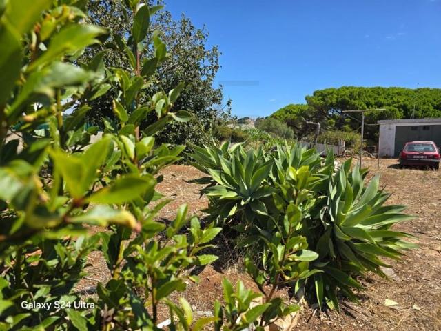Terreno de 30 m2 à venda Centro Estoril, Cascais, Lisboa