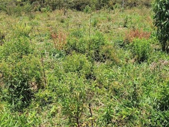 TERRENO DE 30.000m² À VENDA EM ITAGUARA/MG
