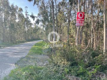 Terreno de 30.500m2 com 2 artigos em Rates