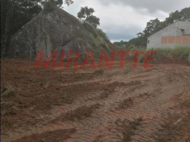 Terreno de 3115m²
