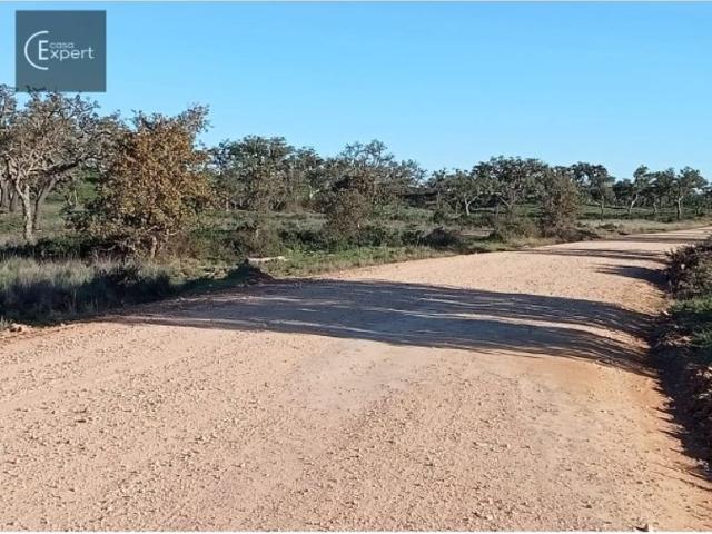 Terreno de 315700 m2 à venda Grândola, Setúbal