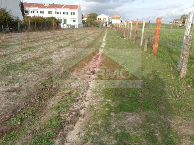 Terreno de 3169 m2 à venda Avenida do Canto do Pinheiro, Alcochete, Setúbal
