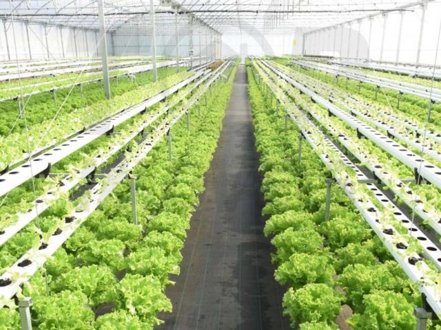 Terreno de 3200 m2 à venda Salvaterra de Magos, Portugal