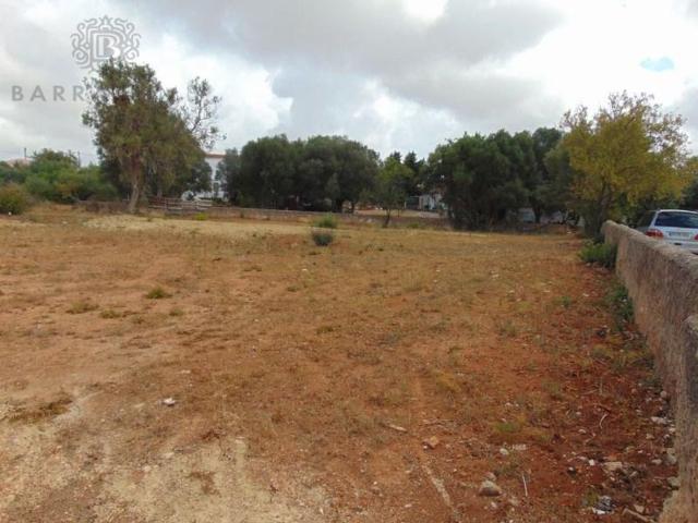 Terreno à venda Almancil, Loulé, Faro