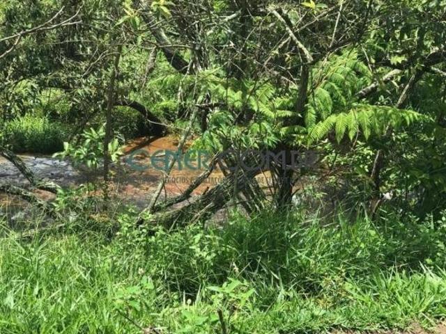 Terreno de 32,9 ha em Piedade dos Gerais bom para pecuária