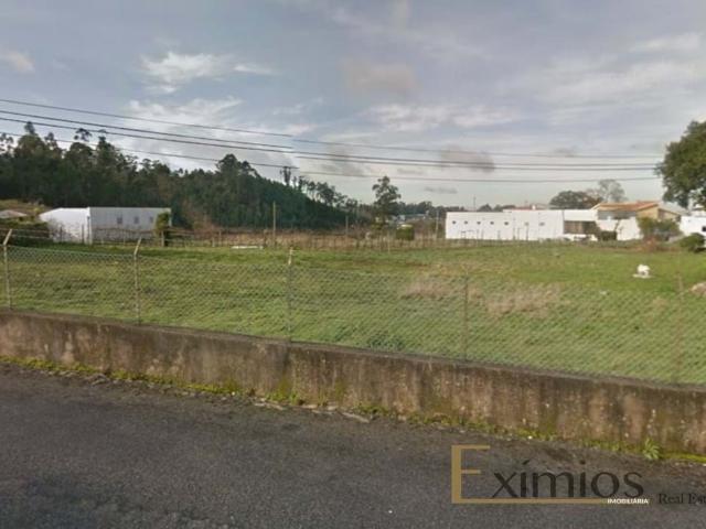 Terreno de 3300m2, em Paredes
