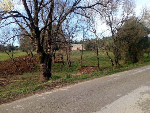Terreno de 3.000 m² com Ruína para Reconstrução – Oportunidade Única