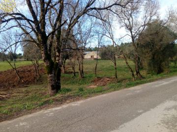 Assafarge, Assafarge e Antanhol, Coimbra, Distrito de Coimbra