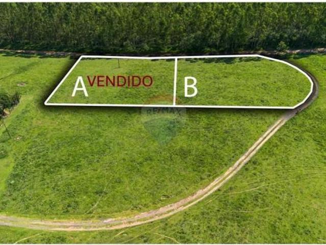 TERRENO DE 3.075 M² PARA MORAR/LAZER MONTENEGRO/RS