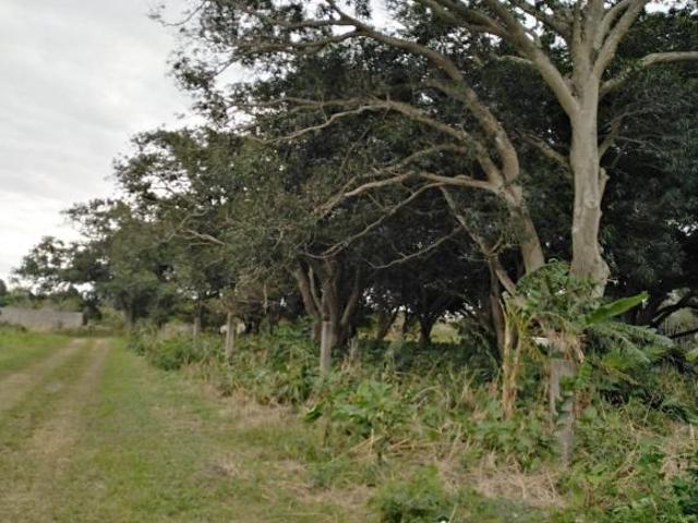 Terreno de 3,354.768m2 en venta en El Tejar. MEDELLÍN, VERAC