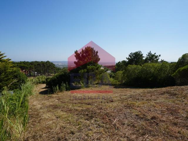 Terreno de 3.940m2, em Serra dos Mangues, São Martinho do Porto